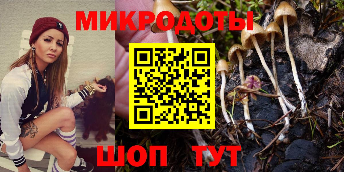 Псилоцибиновые грибы Cubensis Таганрог