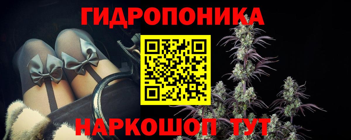 Бошки марихуана семена Таганрог